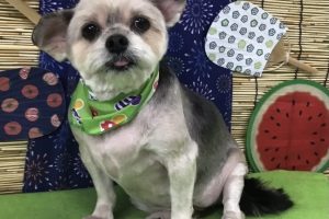 8月のお友達☆