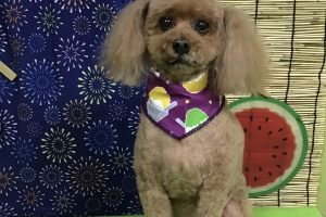 ８月のお友達☆