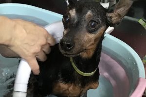 8月のお友達☆