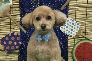 8月のお友達☆