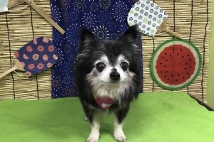 ８月のお友達☆