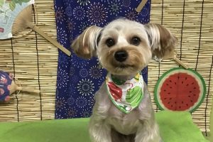 ８月のお友達☆