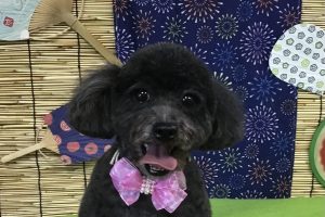8月のお友達☆