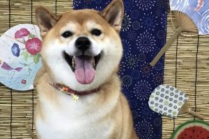 8月のお友達☆