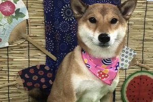 8月のお友達☆