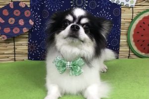 8月のお友達☆