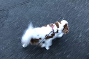 お泊まり中☆