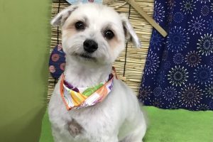 ８月のお友達☆