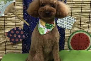 8月のお友達☆