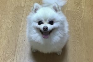 お泊まり中☆
