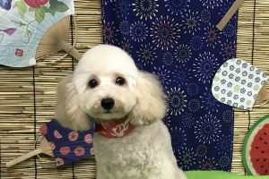 ８月のお友達☆