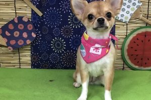 8月のお友達☆