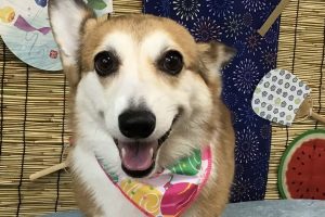 ８月のお友達☆