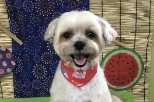 ８月のお友達☆