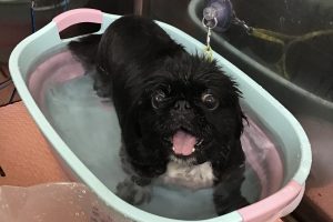8月のお友達☆