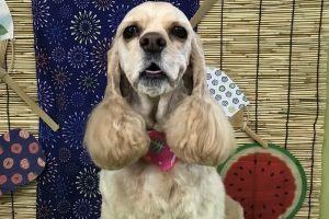 8月のお友達☆