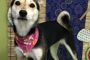 ８月のお友達☆