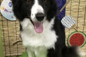 8月のお友達☆