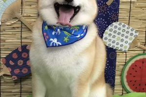 8月のお友達☆