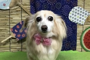 ８月のお友達☆