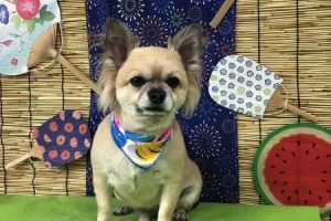 ８月のお友達☆