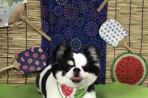 ８月のお友達☆