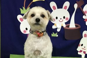９月のお友達☆