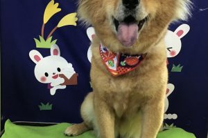 ９月のお友達☆