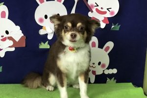 9月のお友達☆