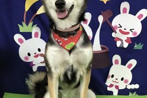 9月のお友達☆