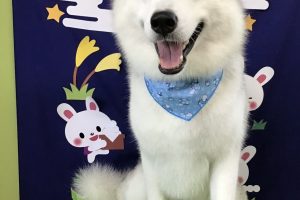 ９月のお友達☆