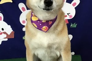 9月のお友達☆