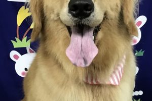 9月のお友達☆