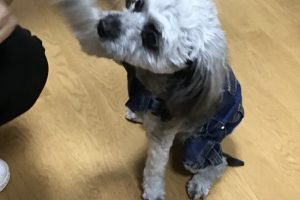 お泊まり中☆