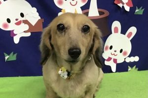 9月のお友達☆