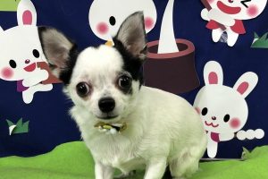 9月のお友達☆