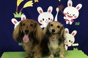 9月のお友達☆