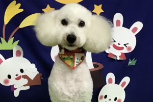 ９月のお友達☆