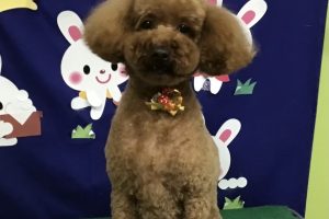 9月のお友達☆