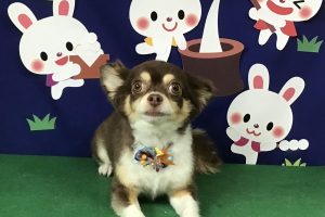 ９月のお友達☆