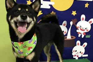 ９月のお友達☆