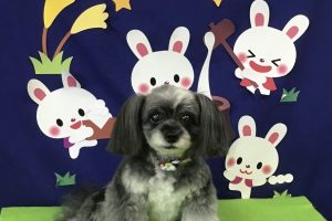 9月のお友達☆