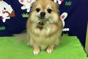 ９月のお友達☆