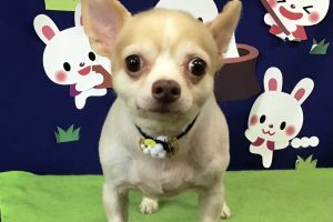 ９月のお友達☆