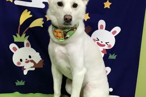 ９月のお友達☆