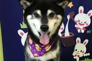 ９月のお友達☆