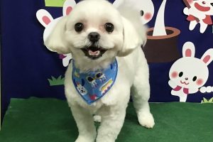 9月のお友達☆