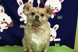 ９月のお友達☆