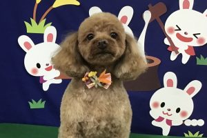 ９月のお友達☆