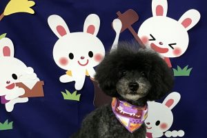9月のお友達☆
